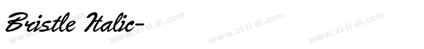 Bristle Italic字体转换 Bristle Italic字体转换